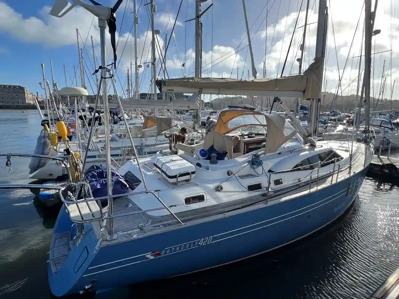 Thumbnail von Southerly 420 Blue dolphin