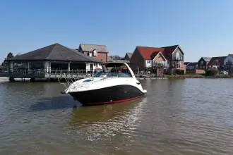 Thumbnail von Sea Ray 265 Sundancer