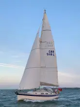 Thumbnail von Hallberg-Rassy 342 CAPELLA