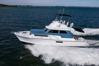 Thumbnail von Bertram 38 Sport Fisherman FIELD & SEA