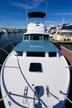 Thumbnail von Bertram 38 Sport Fisherman FIELD & SEA