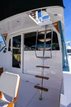 Thumbnail von Bertram 38 Sport Fisherman FIELD & SEA