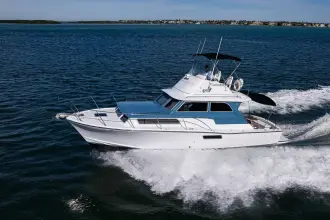 Thumbnail von Bertram 38 Sport Fisherman FIELD & SEA