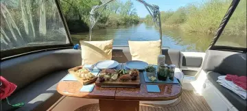 Thumbnail von Sealine F36 Sea Witch