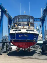 Thumbnail von Halmatic Talisman 46 Heart of Oak