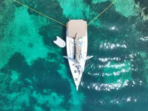 Thumbnail von Dufour 512 Grand Large Azzura Orca