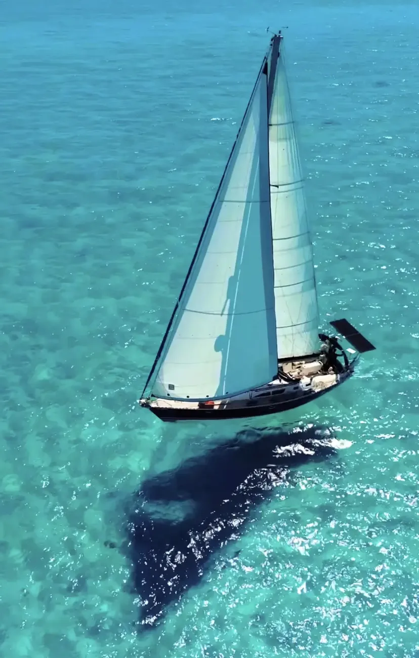 Thumbnail von Jeanneau Sun Odyssey 45.2 Forquilla