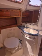 Thumbnail von Bavaria Cruiser 50 Rhonda