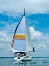 Thumbnail von Bavaria Cruiser 50 Rhonda