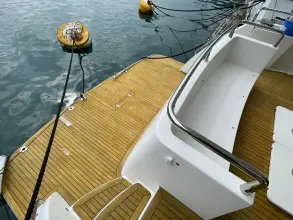 Thumbnail von Ruby 62