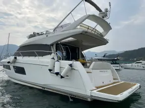 Thumbnail von Prestige 450