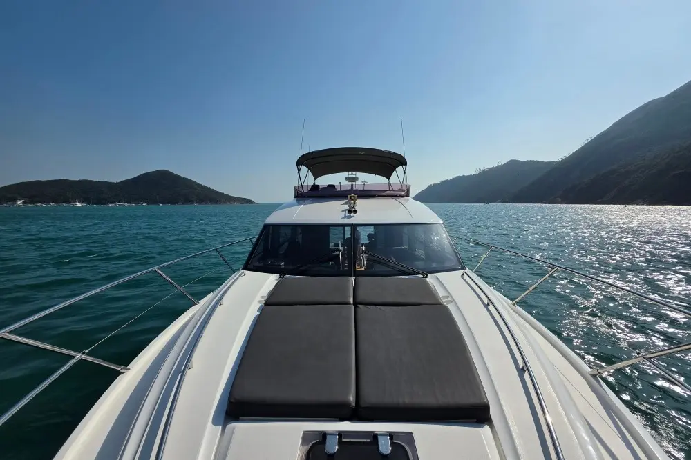 Thumbnail von Princess 52 10109787