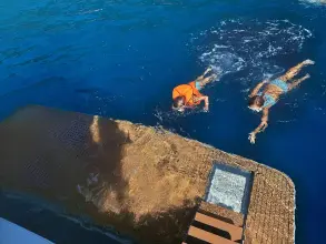 Thumbnail von Bavaria Virtess 420 Fly LADY BAVARKICA