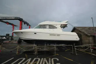 Thumbnail von Prestige 36