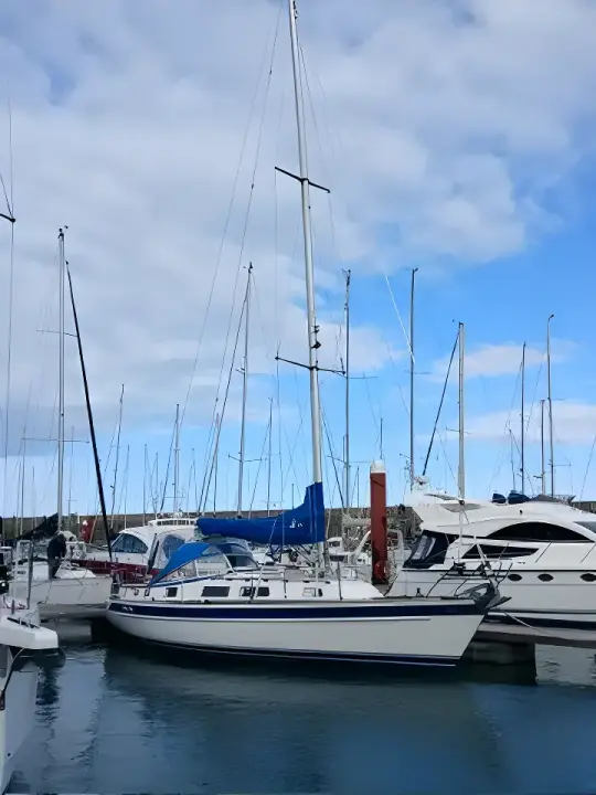 Hallberg-Rassy 34 Salty Dog