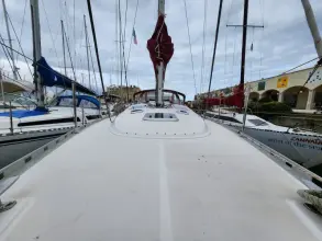 Thumbnail von Delphia 40