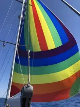 Thumbnail von Najad N361