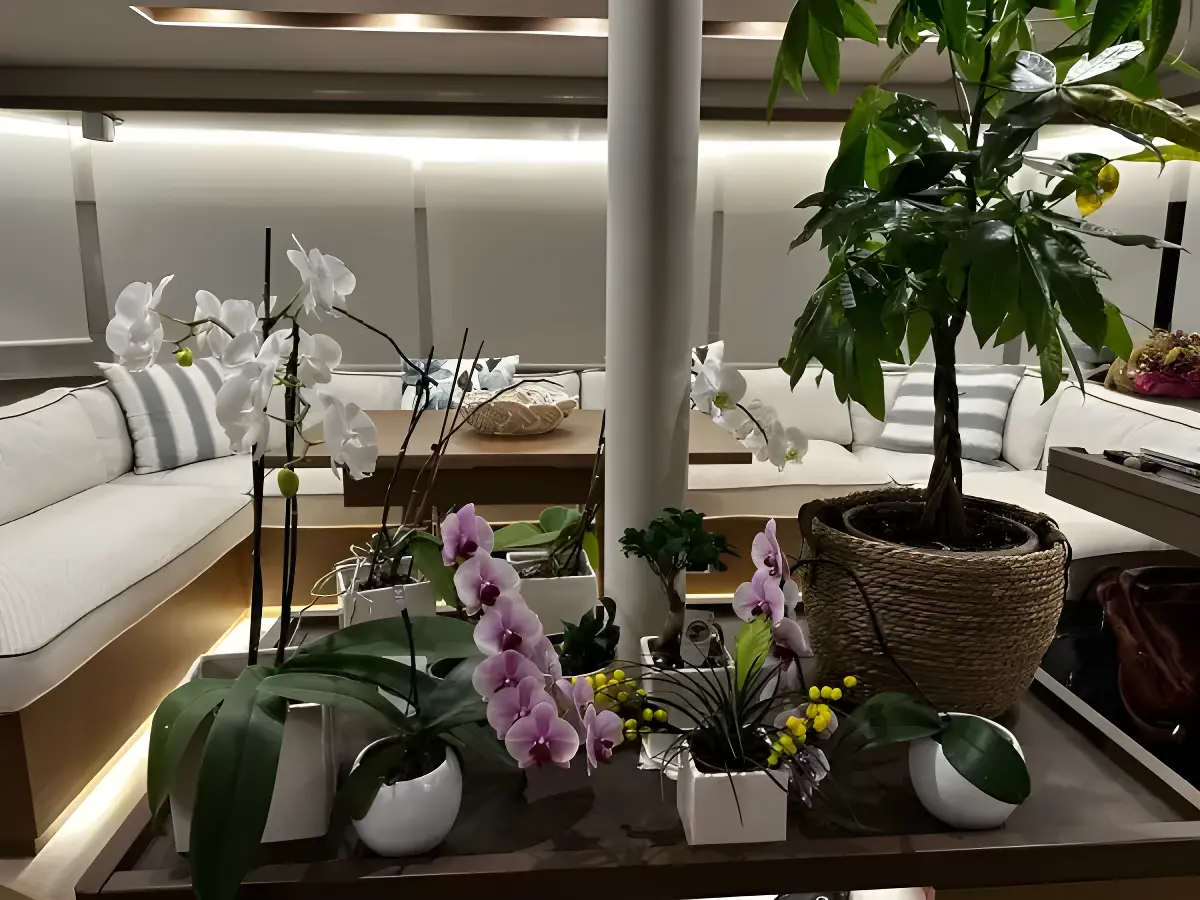 Thumbnail von ラグーン50 VITAMIN SEA