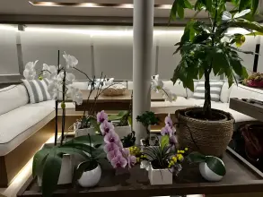 Thumbnail von Lagoon 50 VITAMIN SEA