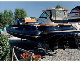 Thumbnail von Noah 33