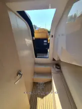 Thumbnail von Noah 33