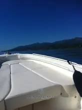 Thumbnail von Wellcraft Scarab 35