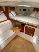 Thumbnail von Carolina Classic Classic 32