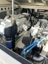 Thumbnail von Carolina Classic Classic 32