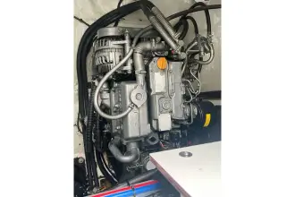 Thumbnail von Leopard 40 Another Thyme