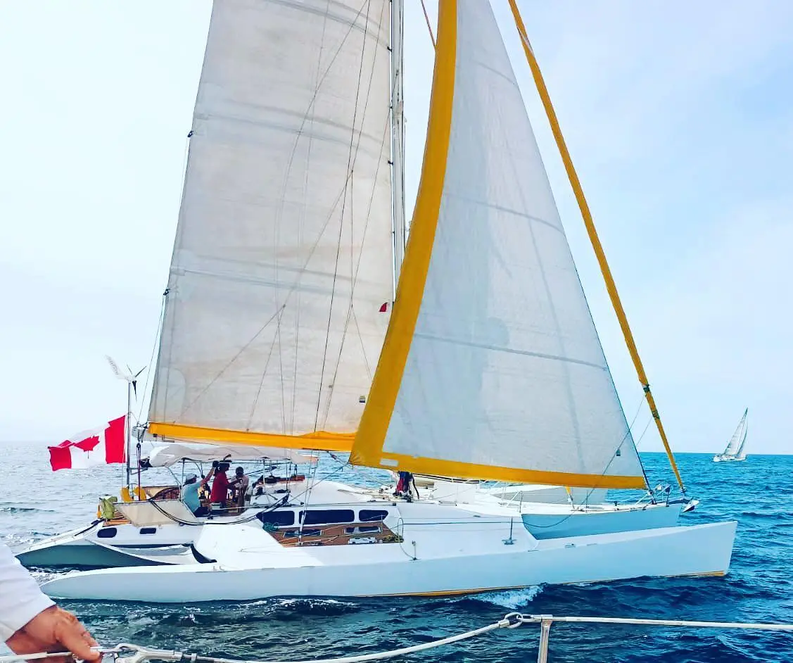 Thumbnail von Marc Pinta Exception 53 Koa e Kea