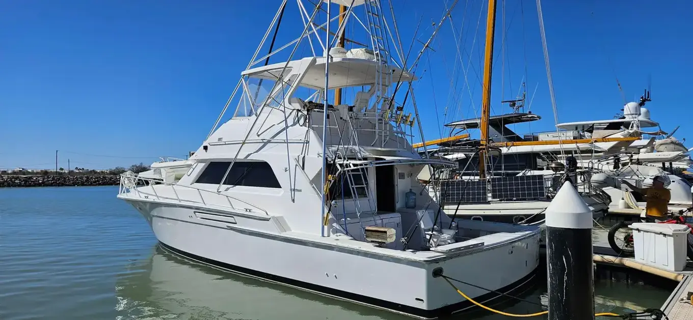 Bertram Convertable TRUE GRIT