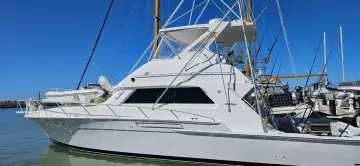 Thumbnail von Bertram Convertable TRUE GRIT