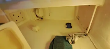 Thumbnail von Custom Kurt Hughes 45 Capricorn Cat