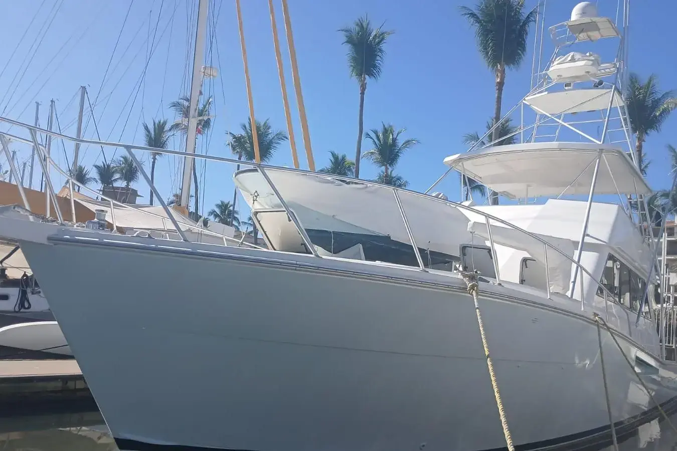 Viking 57 Convertible Paloma