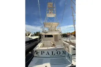 Thumbnail von Viking 57 Convertible Paloma