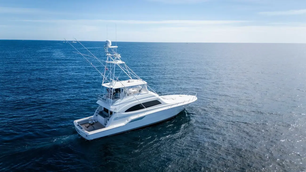 Thumbnail von Bertram 67 Convertible Chill 'N