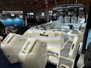 Thumbnail von Wellcraft 38 T-Top WELLCRAFT 38 T-Top