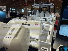 Thumbnail von Wellcraft 38 T-Top WELLCRAFT 38 T-Top