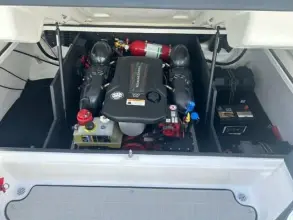 Thumbnail von Regal LS4 Surf