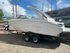 Thumbnail von Regal LS4 Surf