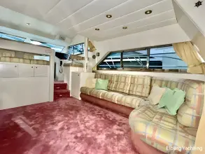 Thumbnail von Neptunus 156