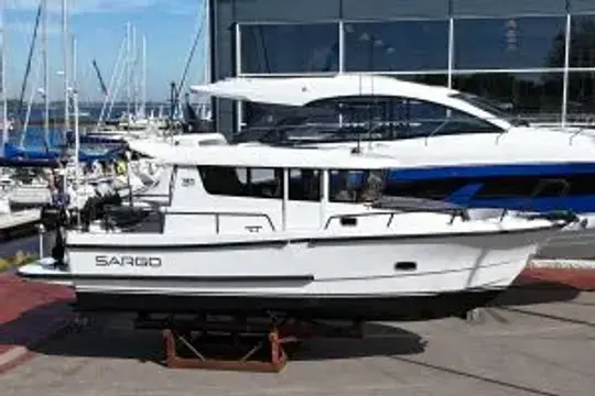 Sargo 31
