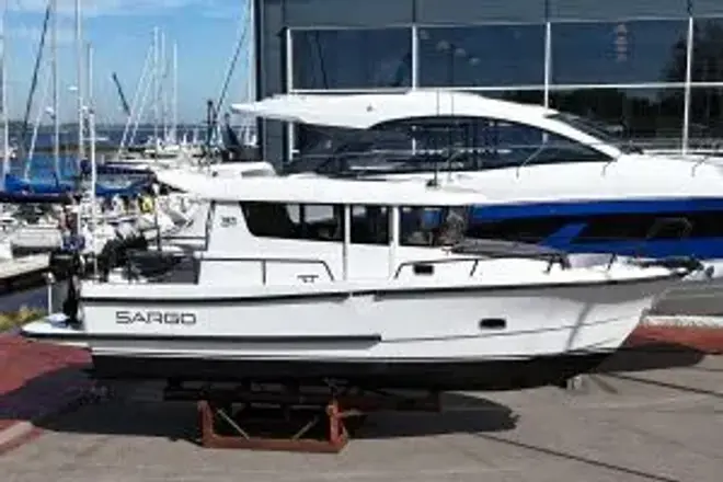 Sargo 31