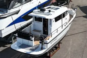 Thumbnail von Sargo 31