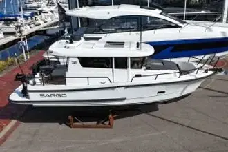 Thumbnail von Sargo 31