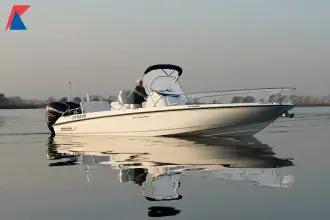 Thumbnail von Boston Whaler 270 Dauntless