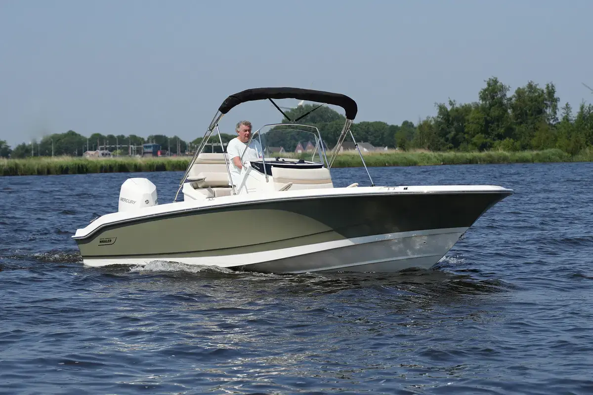 Thumbnail von Boston Whaler 250 Dauntless