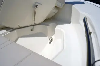 Thumbnail von Boston Whaler 250 Dauntless