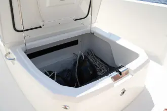 Thumbnail von Boston Whaler 250 Dauntless