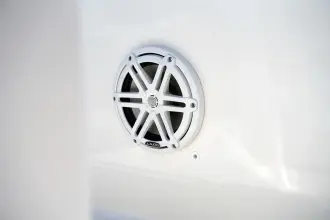 Thumbnail von Boston Whaler 250 Dauntless